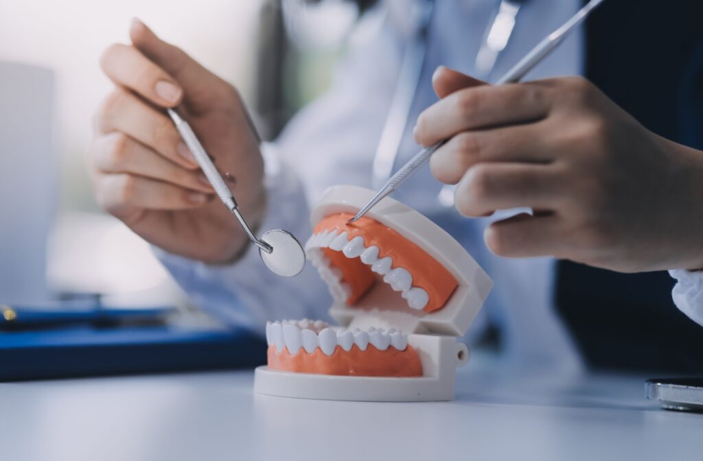 Hands pointing at a dental model with cleaning instruments.